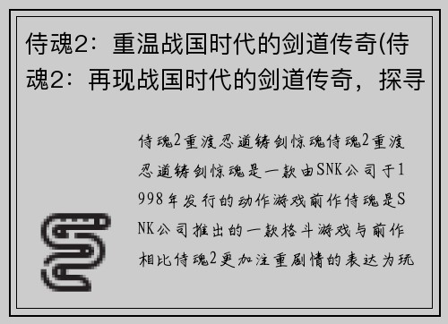侍魂2：重温战国时代的剑道传奇(侍魂2：再现战国时代的剑道传奇，探寻最强剑者的传说)
