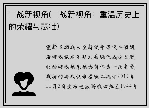二战新视角(二战新视角：重温历史上的荣耀与悲壮)